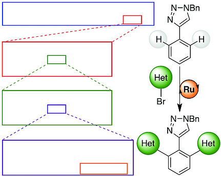 ejoc201800843-toc-0001-m