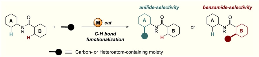 chem202000672-toc-0001-m
