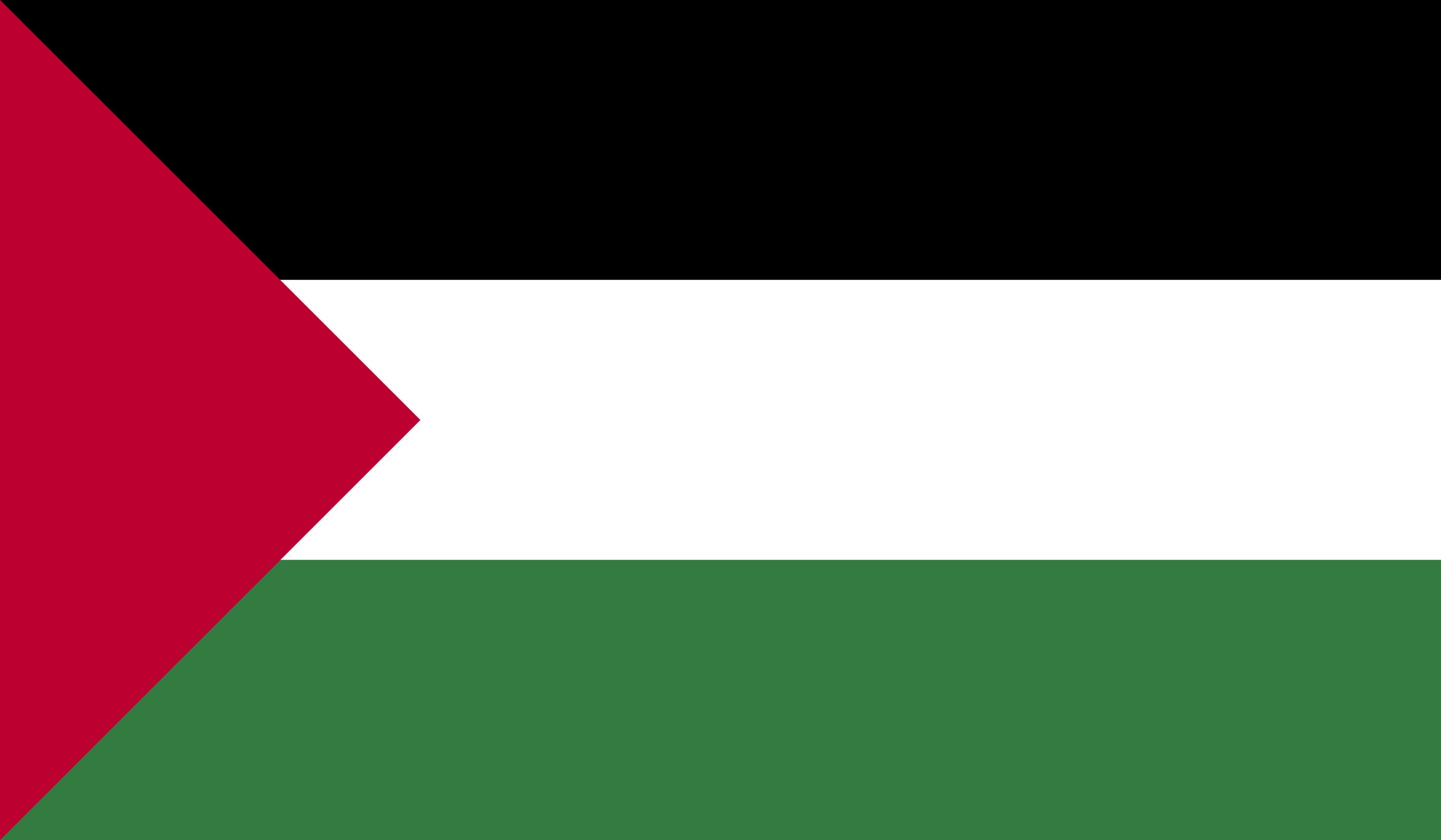 palestina flag