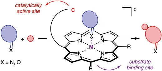 i_r0743_ga_10-1055_a-1729-9223